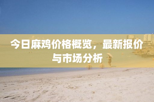 今日麻鸡价格概览，最新报价与市场分析