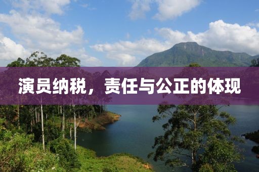 演员纳税，责任与公正的体现