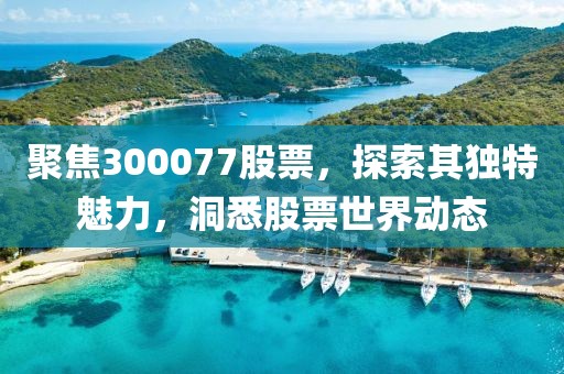 聚焦300077股票，探索其独特魅力，洞悉股票世界动态