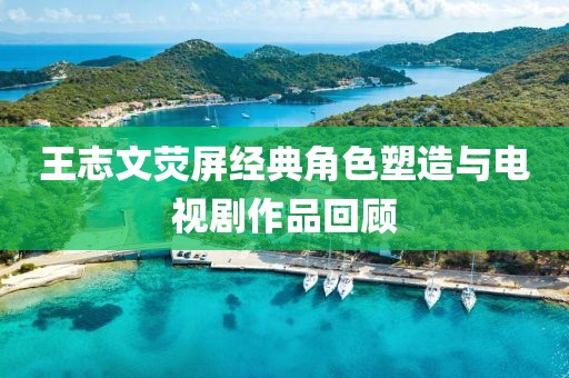 王志文荧屏经典角色塑造与电视剧作品回顾