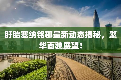 大含烟 第4页