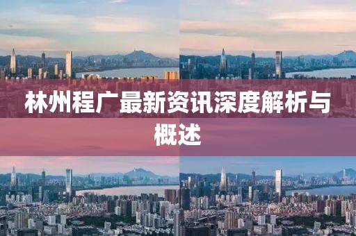林州程广最新资讯深度解析与概述