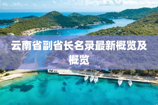 云南省副省长名录最新概览及概览