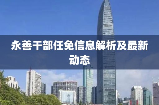 永善干部任免信息解析及最新动态
