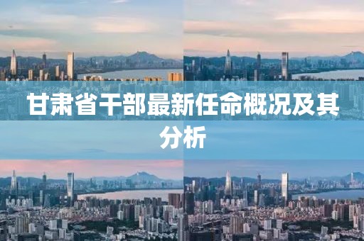 甘肃省干部最新任命概况及其分析