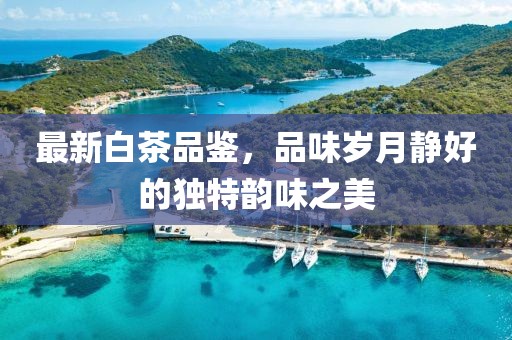 最新白茶品鉴，品味岁月静好的独特韵味之美
