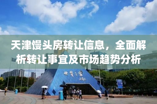天津馒头房转让信息，全面解析转让事宜及市场趋势分析