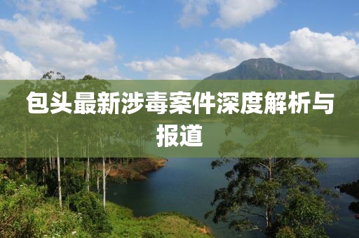 包头最新涉毒案件深度解析与报道