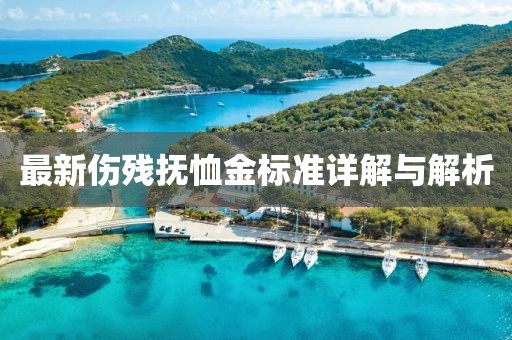 最新伤残抚恤金标准详解与解析