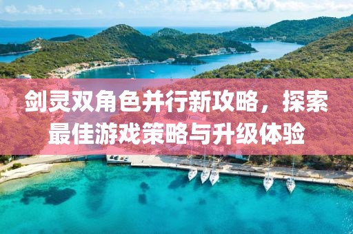 剑灵双角色并行新攻略，探索最佳游戏策略与升级体验