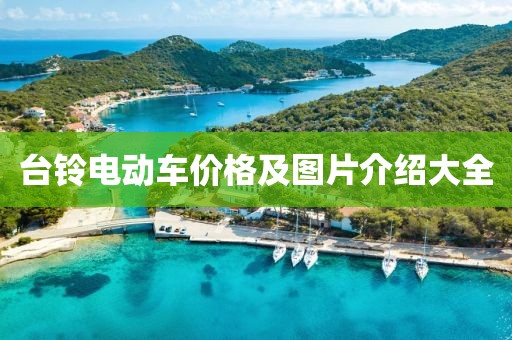 台铃电动车价格及图片介绍大全