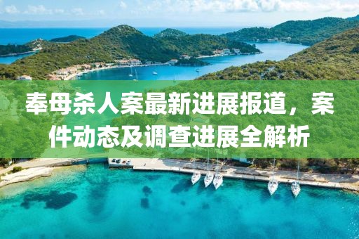 奉母杀人案最新进展报道，案件动态及调查进展全解析