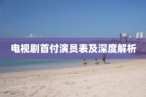 电视剧首付演员表及深度解析