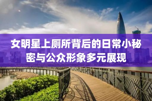 女明星上厕所背后的日常小秘密与公众形象多元展现
