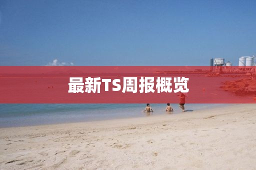 最新TS周报概览