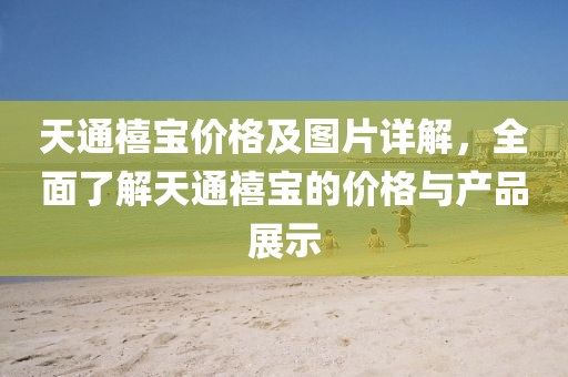 天通禧宝价格及图片详解，全面了解天通禧宝的价格与产品展示
