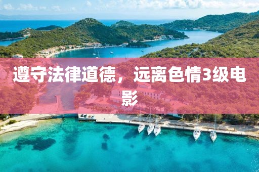 遵守法律道德，远离色情3级电影