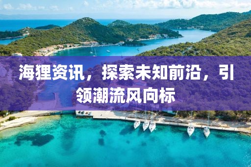 海狸资讯，探索未知前沿，引领潮流风向标