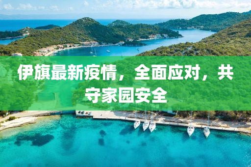 伊旗最新疫情，全面应对，共守家园安全