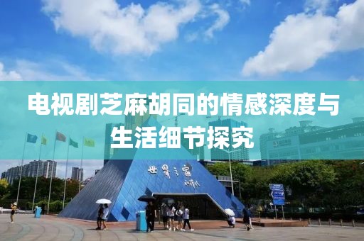 电视剧芝麻胡同的情感深度与生活细节探究