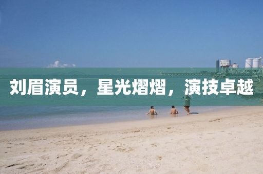 刘眉演员，星光熠熠，演技卓越
